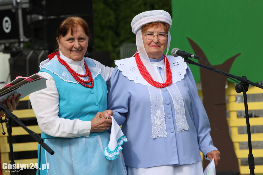 Prezentacje zespołów ludowych w Borku Wlkp.