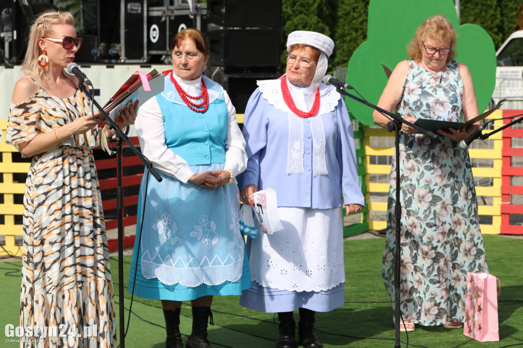 Prezentacje zespołów ludowych w Borku Wlkp.