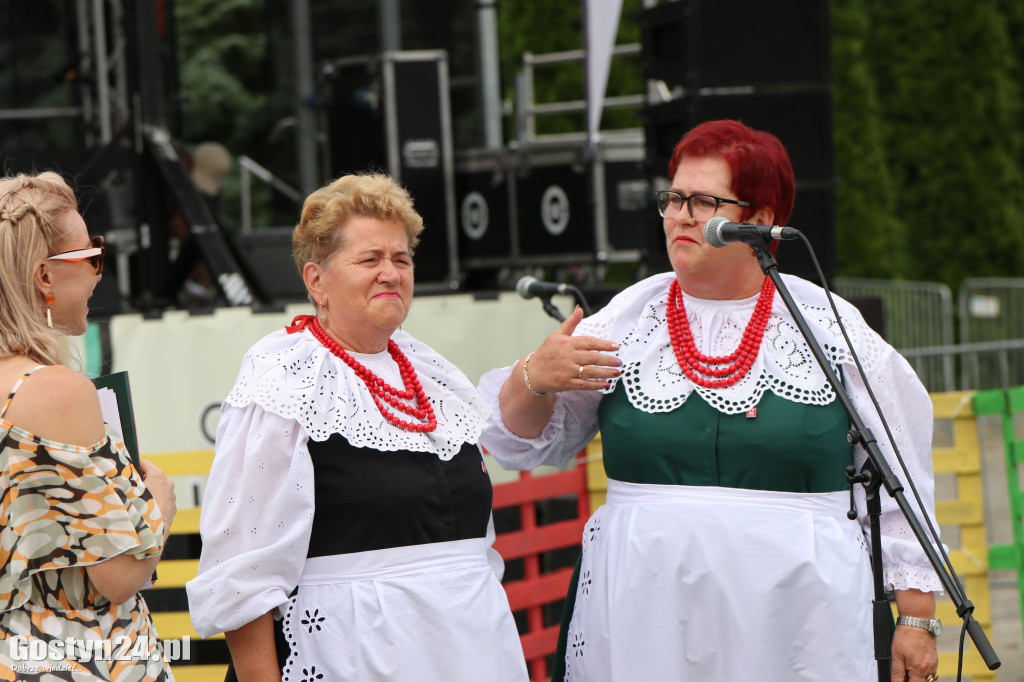 Prezentacje zespołów ludowych w Borku Wlkp.