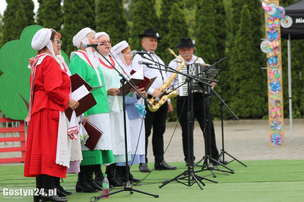 Prezentacje zespołów ludowych w Borku Wlkp.
