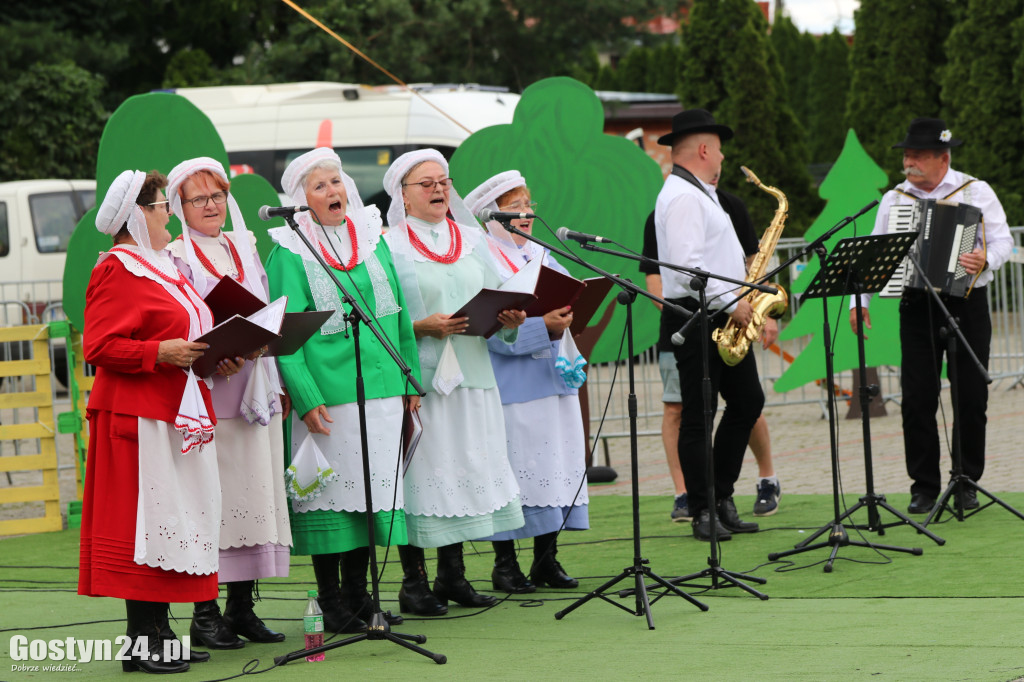 Prezentacje zespołów ludowych w Borku Wlkp.