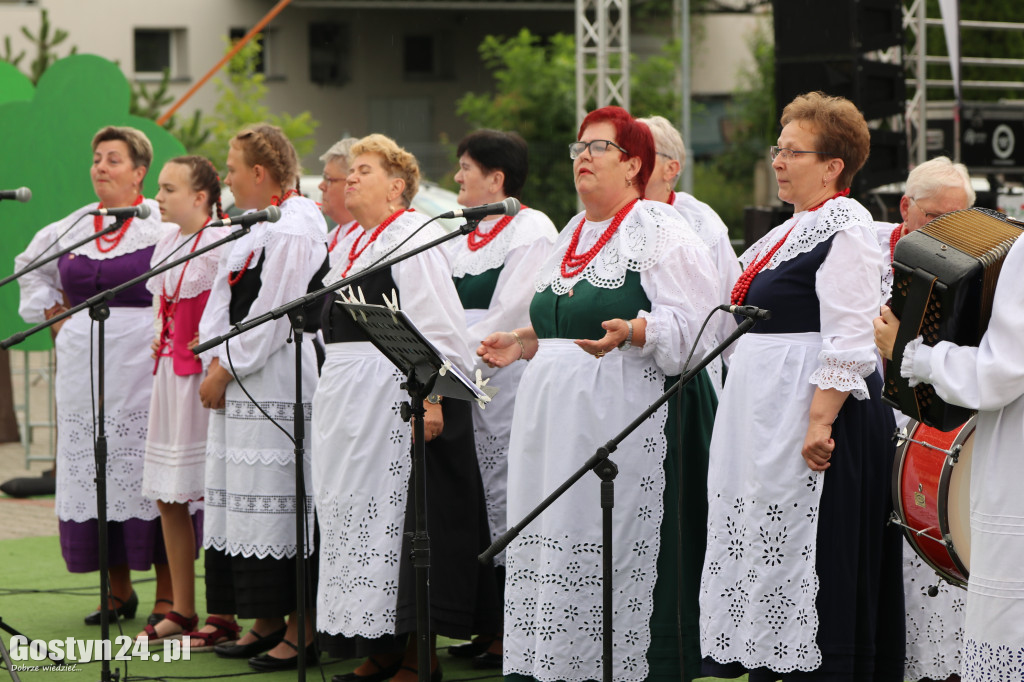 Prezentacje zespołów ludowych w Borku Wlkp.