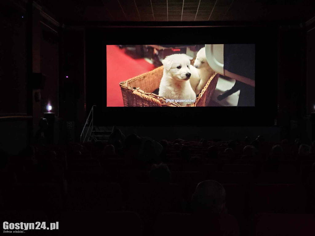 Pokaz filmu dla osób z dysfunkcją wzroku i słuchu w gostyńskim kinie