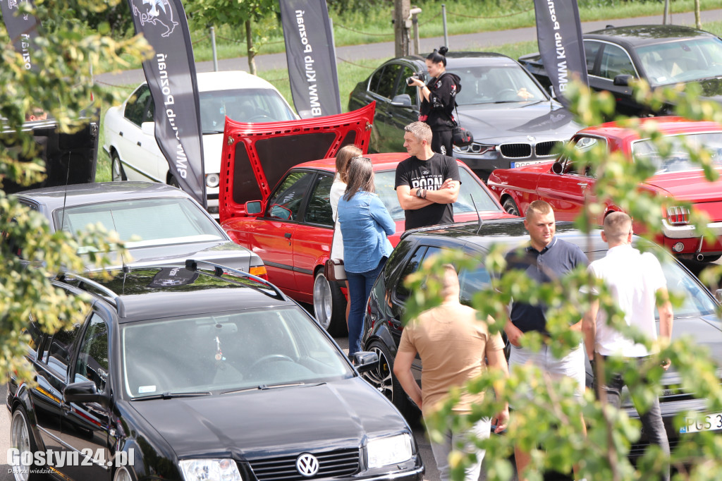 SPOT BMW w Gostyniu i akcja zbiórki karmy dla bezdomnych ziwerząt