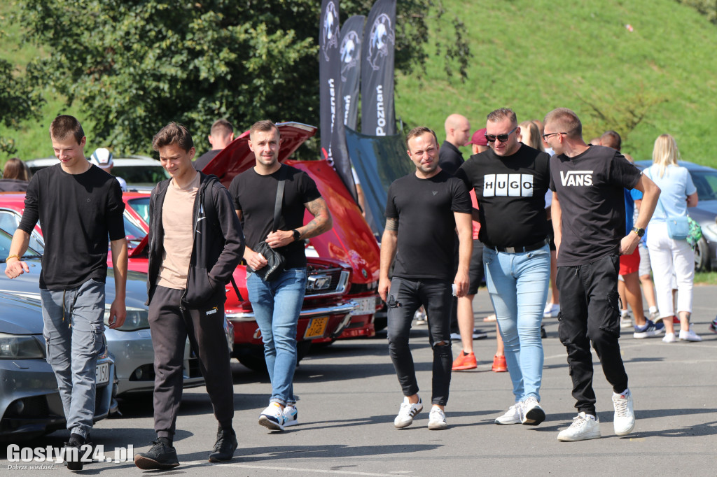 SPOT BMW w Gostyniu i akcja zbiórki karmy dla bezdomnych ziwerząt
