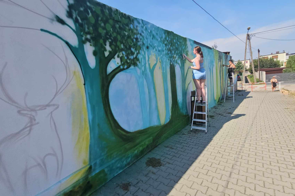 Nowe graffiti powstaje w Borku Wlkp.