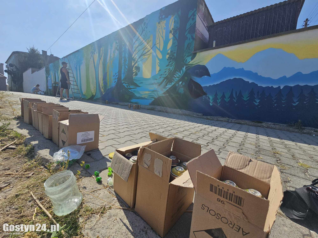 Nowe graffiti powstaje w Borku Wlkp.