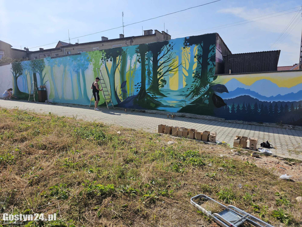 Nowe graffiti powstaje w Borku Wlkp.