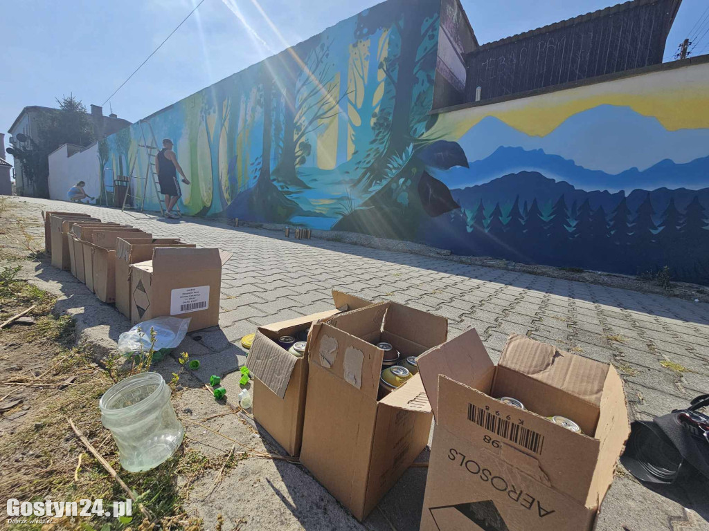 Nowe graffiti powstaje w Borku Wlkp.