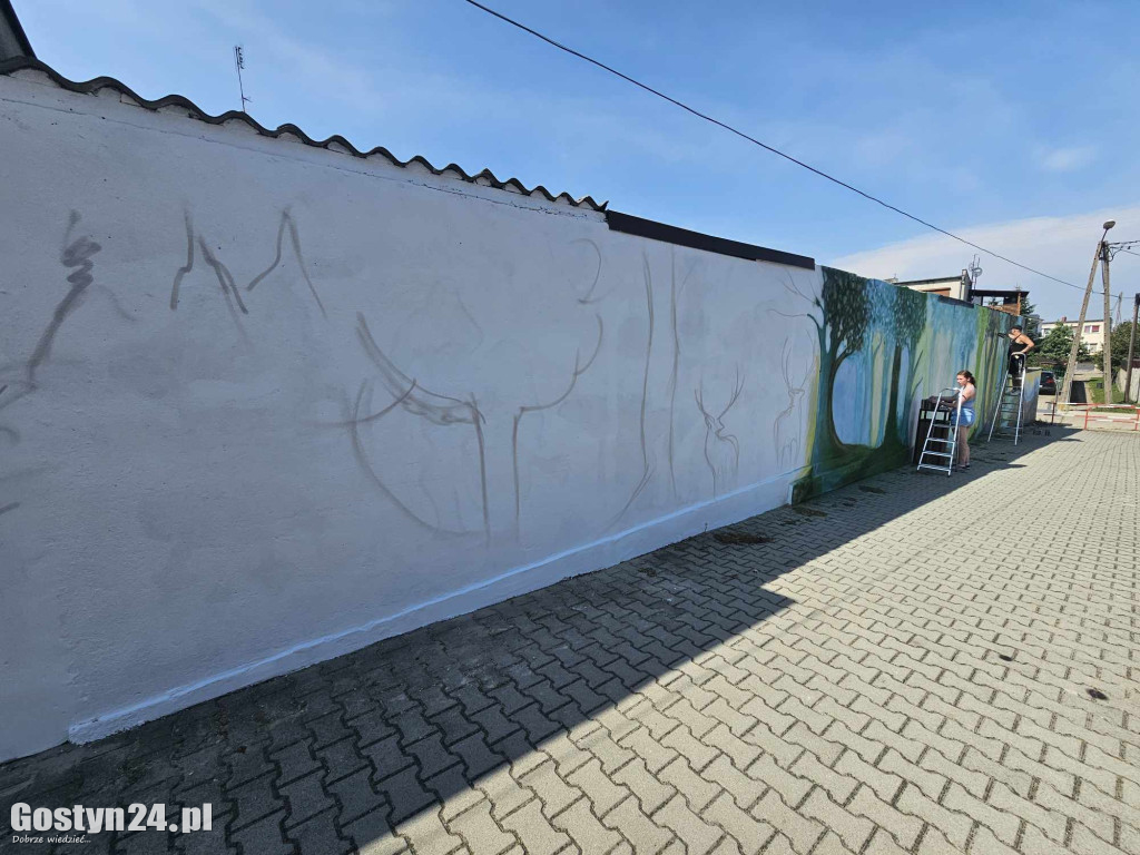 Nowe graffiti powstaje w Borku Wlkp.