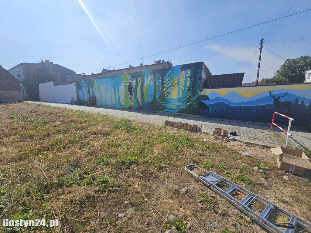Nowe graffiti powstaje w Borku Wlkp.