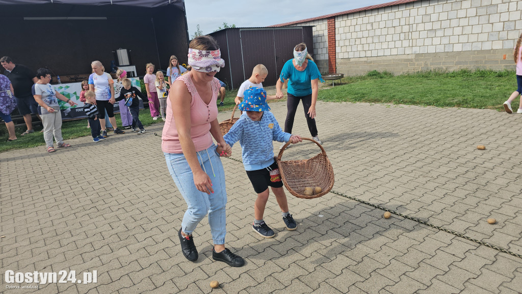 Pierwszy dzień pyry w Krajewicach