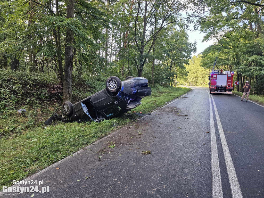 Wypadek samochodu osobowego w rejonie Studzianny