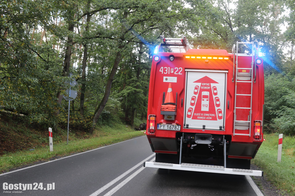 Wypadek samochodu osobowego w rejonie Studzianny