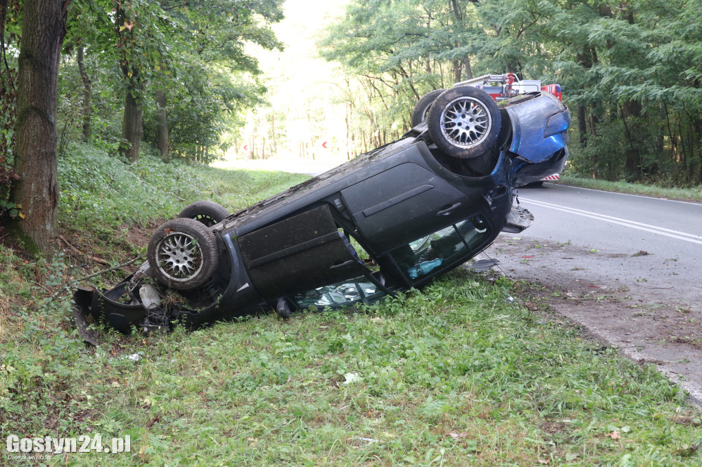 Wypadek samochodu osobowego w rejonie Studzianny