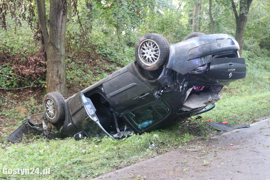 Wypadek samochodu osobowego w rejonie Studzianny