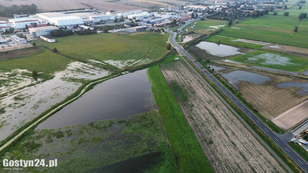 Spore rozlewiska na polach i łąkach pod Gostyniem