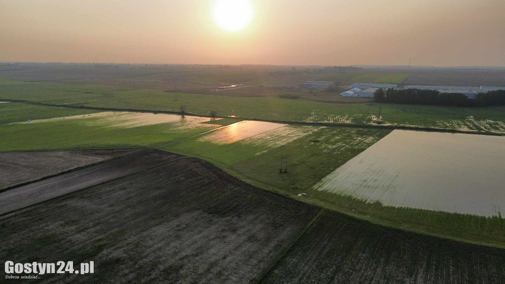 Spore rozlewiska na polach i łąkach pod Gostyniem