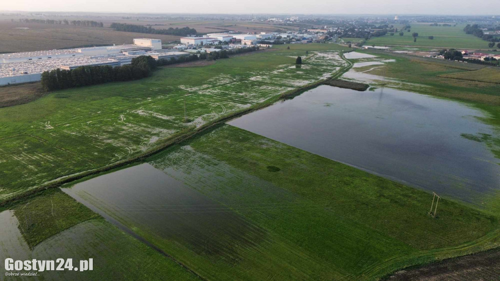 Spore rozlewiska na polach i łąkach pod Gostyniem