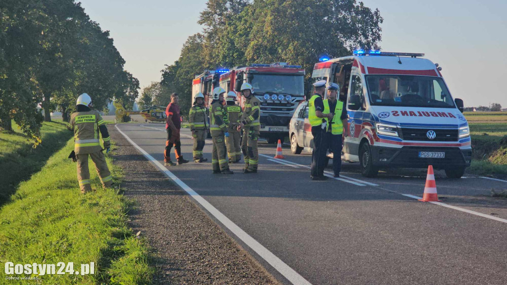 Dachowanie przy trasie Borek Wlkp. - Zimnowoda