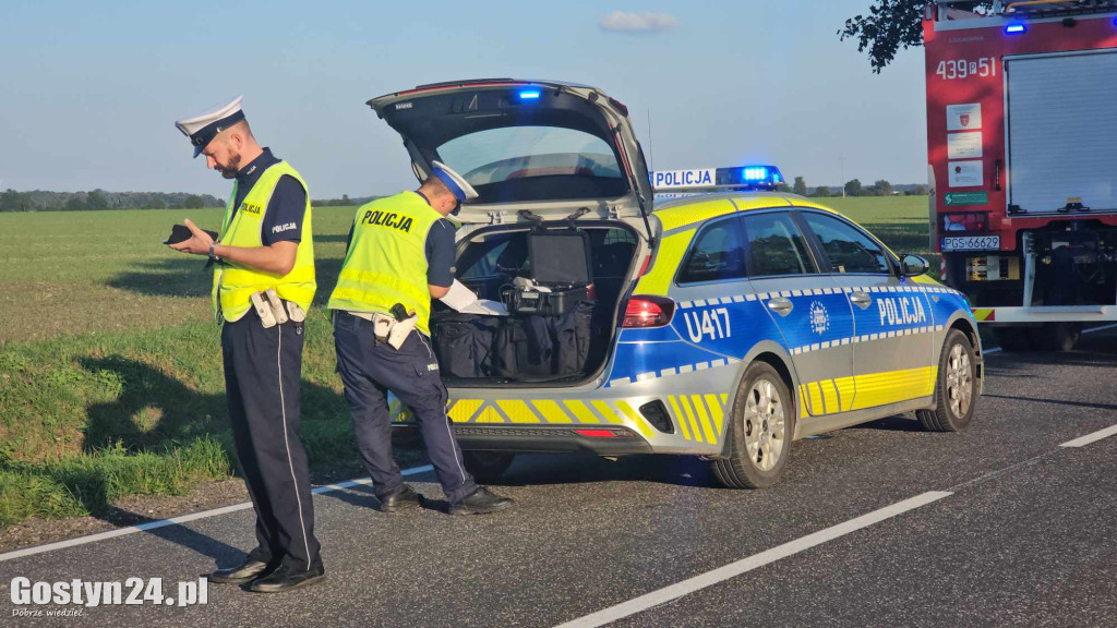 Dachowanie przy trasie Borek Wlkp. - Zimnowoda