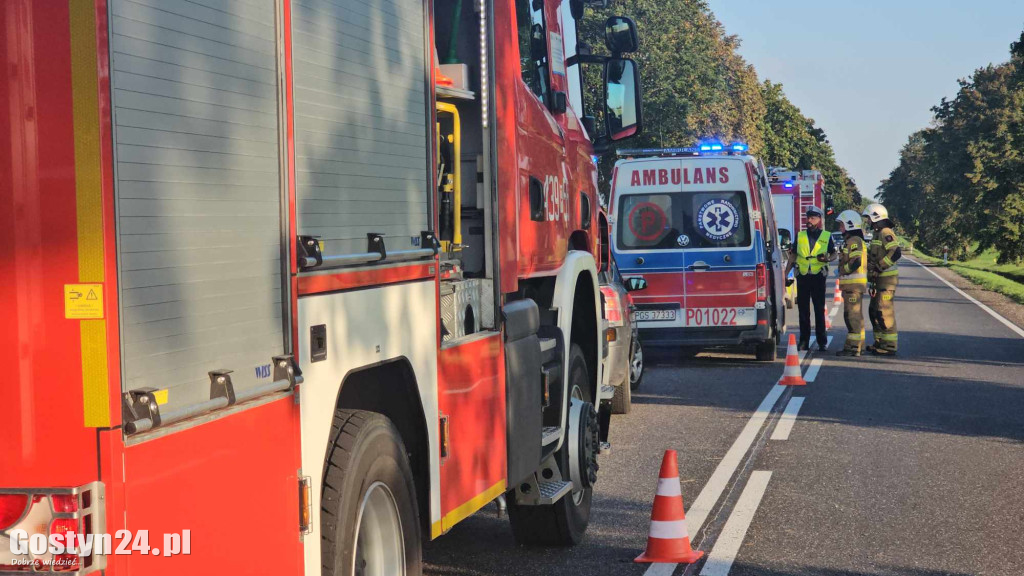 Dachowanie przy trasie Borek Wlkp. - Zimnowoda