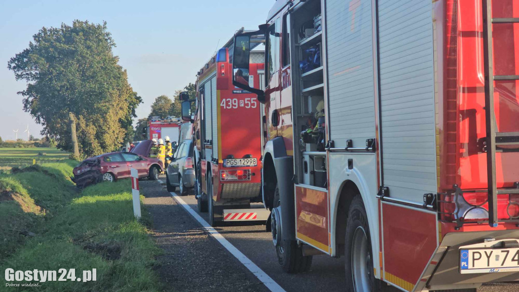 Dachowanie przy trasie Borek Wlkp. - Zimnowoda