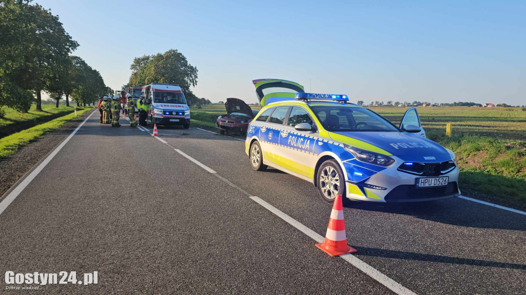 Dachowanie przy trasie Borek Wlkp. - Zimnowoda