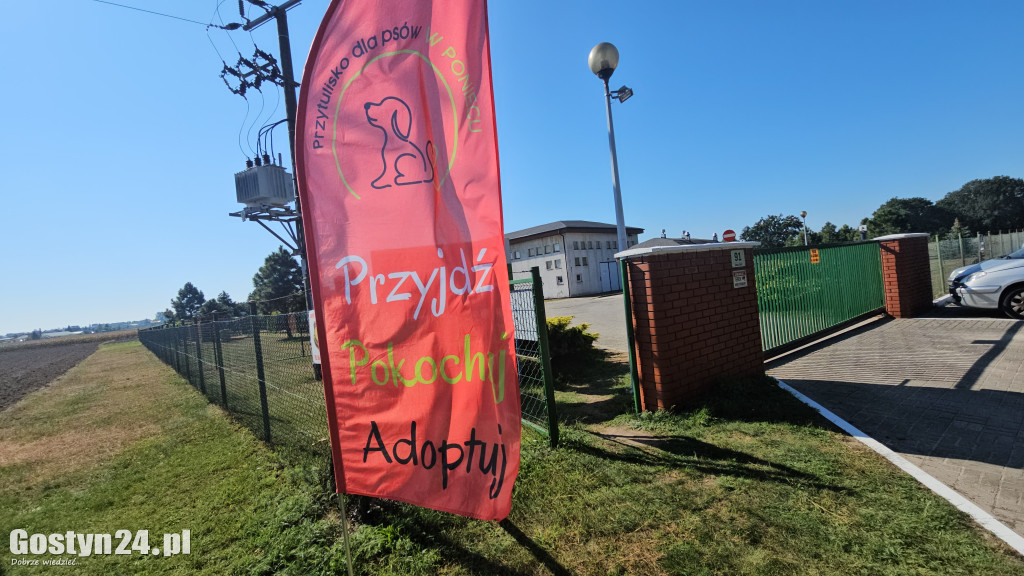 Drzwi otwarte w Przytulisku w Poniecu