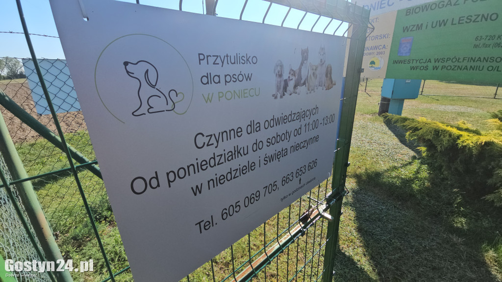 Drzwi otwarte w Przytulisku w Poniecu