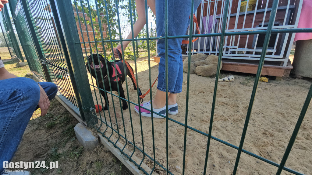 Drzwi otwarte w Przytulisku w Poniecu