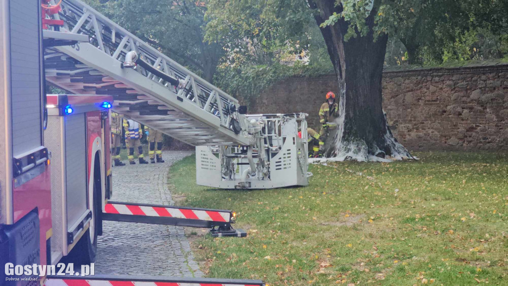 Pożar przy bazylice świętogórskiej