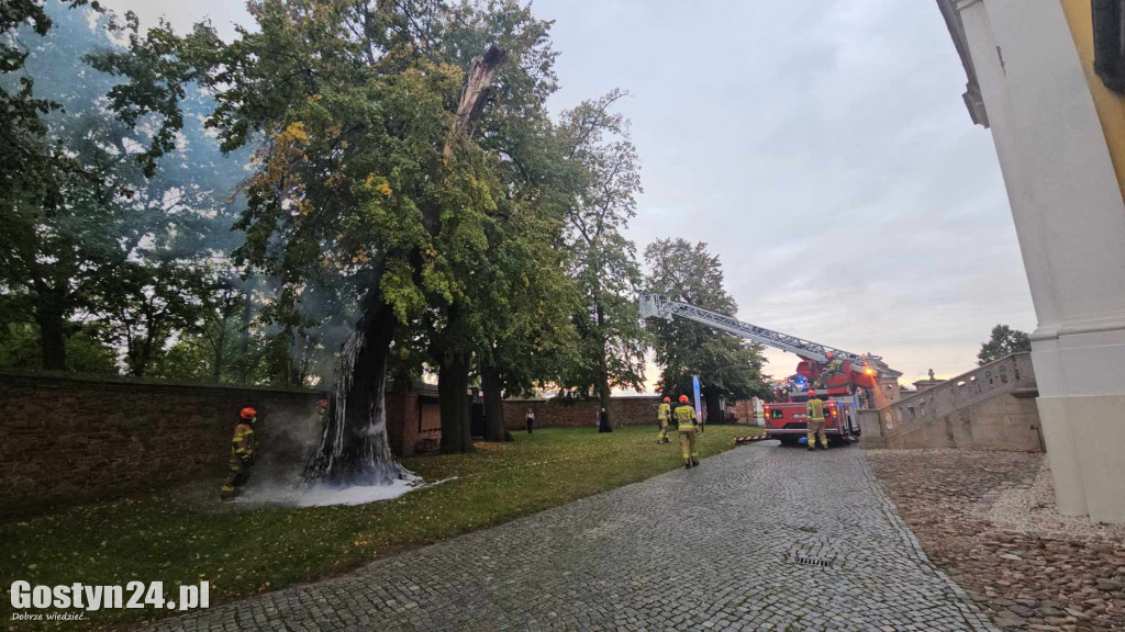 Pożar przy bazylice świętogórskiej