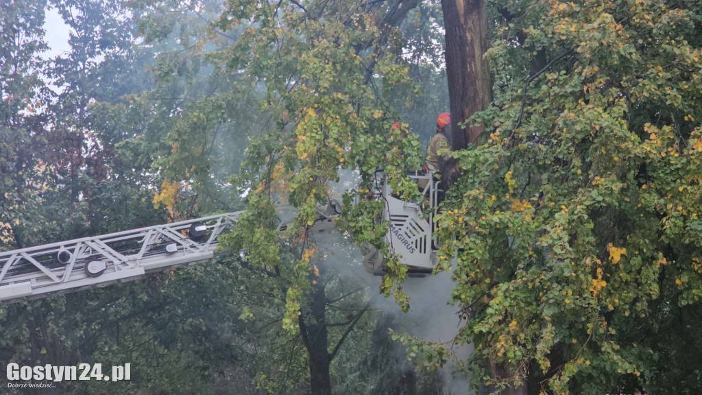 Pożar przy bazylice świętogórskiej