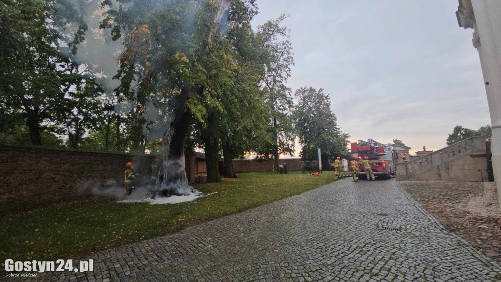 Pożar przy bazylice świętogórskiej