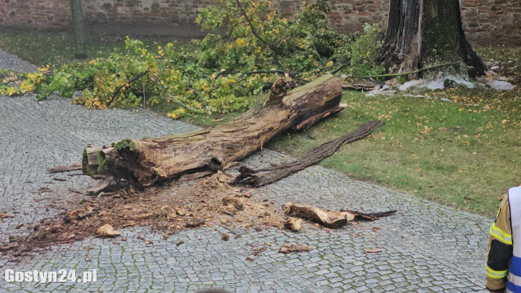 Pożar przy bazylice świętogórskiej