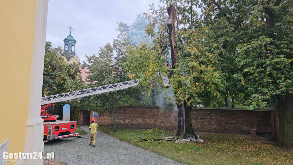 Pożar przy bazylice świętogórskiej