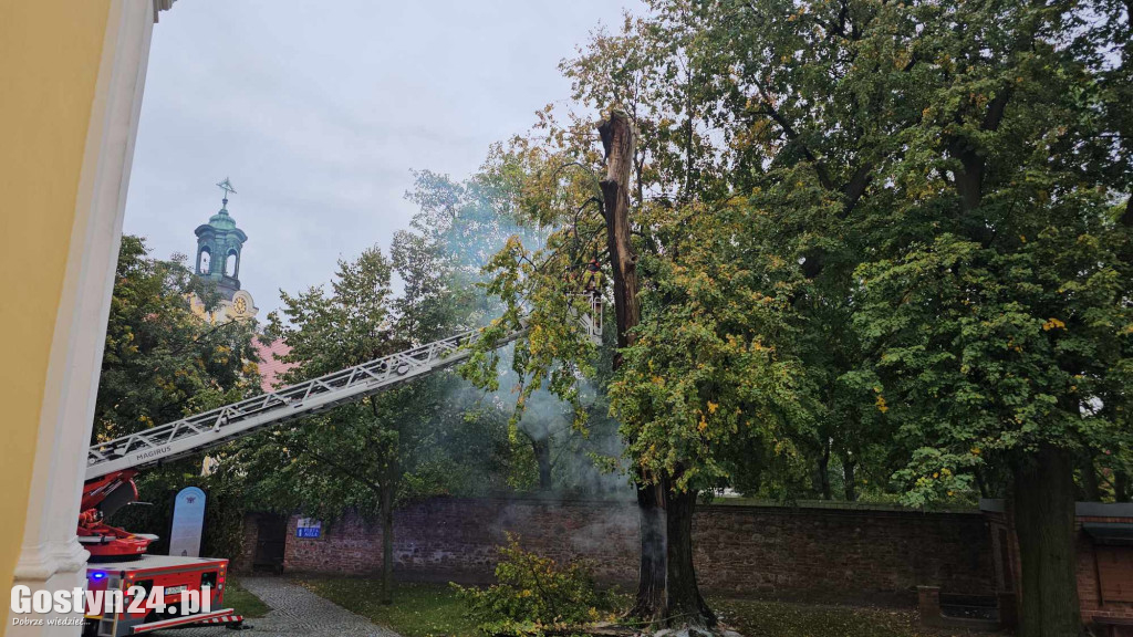 Pożar przy bazylice świętogórskiej