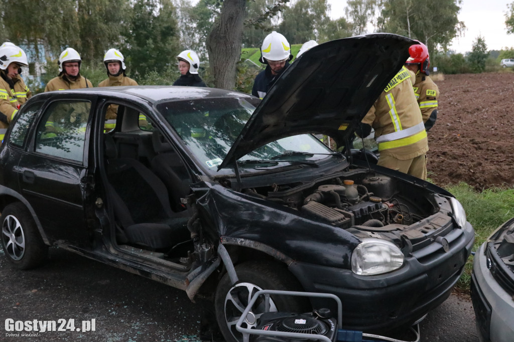 Wypadek masowy w podboreckim Zalesiu