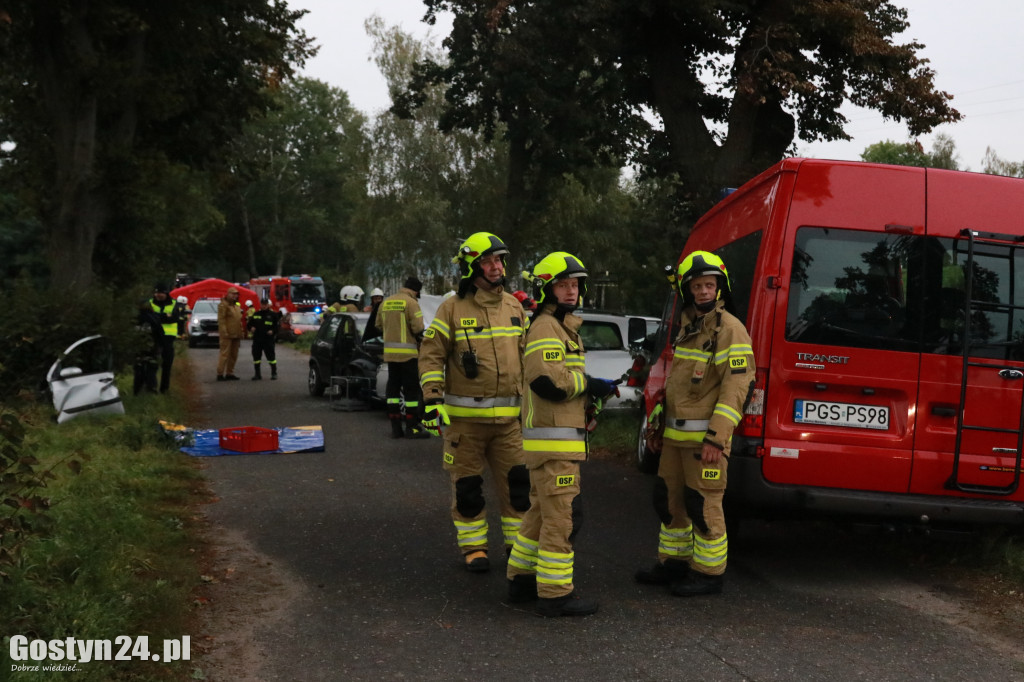 Wypadek masowy w podboreckim Zalesiu