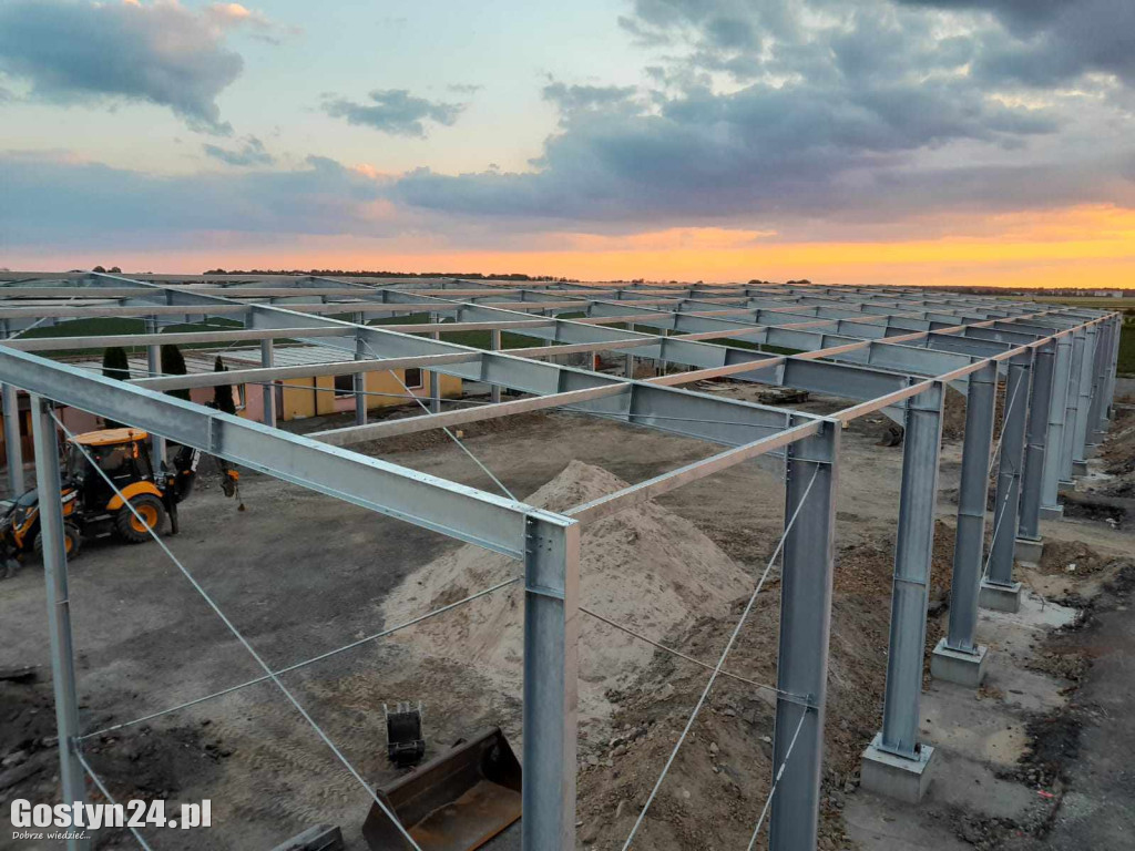 Stalowe konstrukcje. Klucz do sukcesu w budownictwie przemysłowym