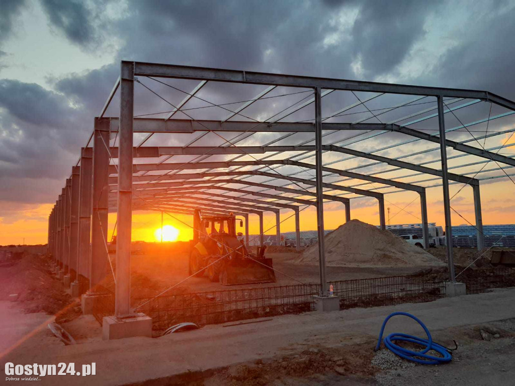 Stalowe konstrukcje. Klucz do sukcesu w budownictwie przemysłowym