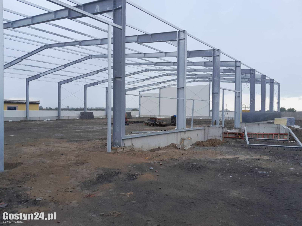 Stalowe konstrukcje. Klucz do sukcesu w budownictwie przemysłowym