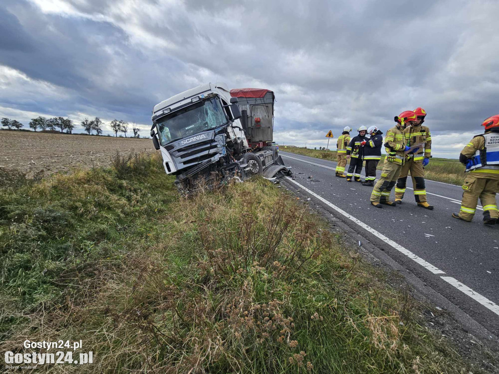 Zderzenie dwóch ciężarówek na DK12 pomiędzy Gola a Płaczkowem