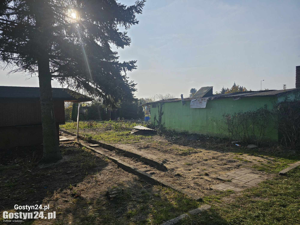 Pustoszeją ogródki działkowe przy ul. Wrocławskiej w Gostyniu