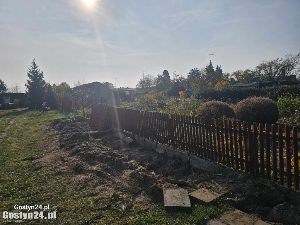 Pustoszeją ogródki działkowe przy ul. Wrocławskiej w Gostyniu
