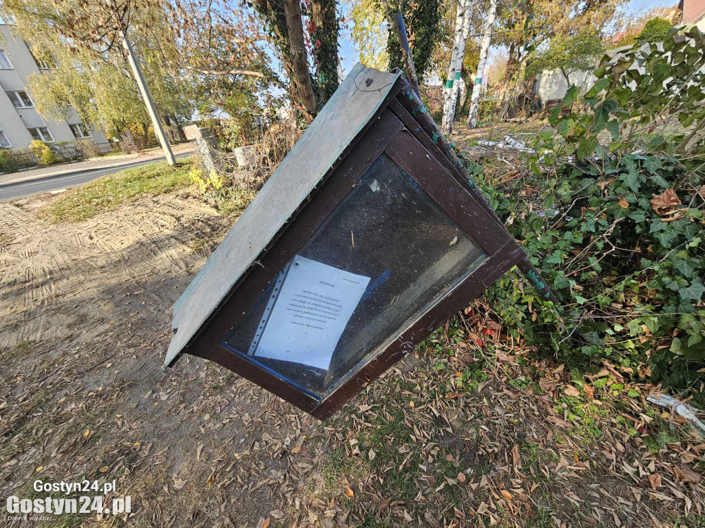 Pustoszeją ogródki działkowe przy ul. Wrocławskiej w Gostyniu