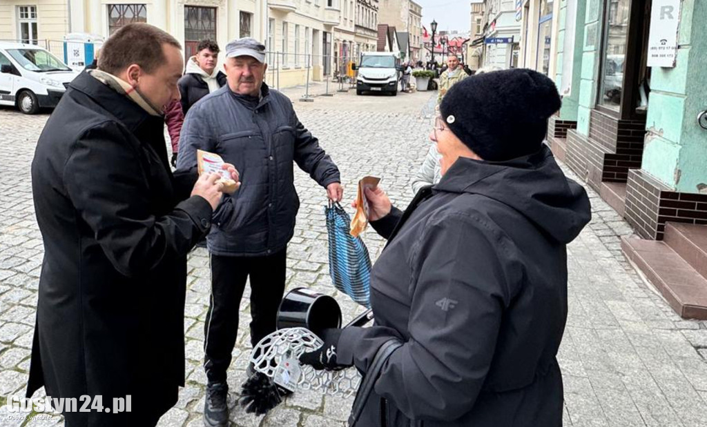 Sadzonki tulipanów na Dzień Niepodległości w Gostyniu