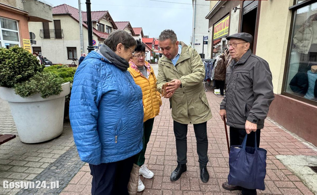 Sadzonki tulipanów na Dzień Niepodległości w Gostyniu