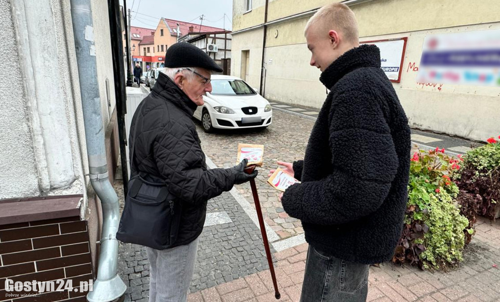 Sadzonki tulipanów na Dzień Niepodległości w Gostyniu